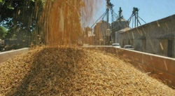 122 MIL HECTÁREAS PARA ARROZ Y MAÍZ BENEFICIARAN AL PAÍS