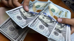 ECOANALÍTICA: EL PRECIO DEL DÓLAR AUMENTÓ A UN RITMO MENOR QUE EL DE OTROS BIENES EN 2019