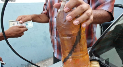 GASOLINA BACHAQUEADA ES VENDIDA ENTRE 7 Y 8 MIL PESOS POR LITRO