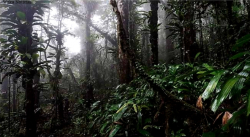GRIAM celebra y reflexiona sobre el Dia de la Diversidad Biológica