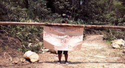 RED ECLESIAL PANAMAZÓNICA: COVID-19 Y VIOLENCIA MINERA ACORRALA A PUEBLOS INDÍGENAS DE LA AMAZONÍA