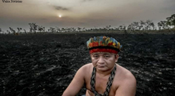 LA AMAZONÍA PODRÍA SER UNA SABANA EN 50 AÑOS, SEGÚN ESTUDIO.