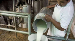 CAVILAC TRABAJA A 20% DE SU CAPACIDAD: “EL SECTOR SE VE AFECTADO POR LA FALTA DE COMBUSTIBLE”