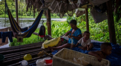 ONU: INDÍGENAS DESPLAZADOS DE VENEZUELA ESTÁN EXPUESTOS PELIGROSAMENTE A COVID-19