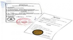 Ecuador pedirá antecedentes judiciales apostillados a migrantes venezolanos