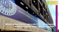 BILLETES NO HAY: EFECTIVO BAJÓ A SOLO 2,15% DEL CIRCULANTE MIENTRAS LA LIQUIDEZ SUBIÓ 1.280,61% EN 2020