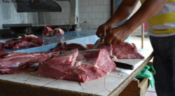 MÁS DE TRES SALARIOS MÍNIMOS CUESTA EL KILO DE CARNE EN PUERTO AYACUCHO