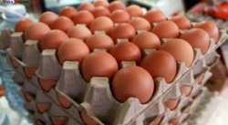 PRECIOS DEL CARTÓN DE HUEVOS EN AMAZONAS CONTINÚA CON SU ASCENSO DESCONTROLADO