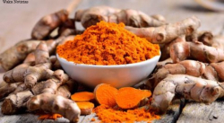 LA CÚRCUMA: UNA ESPECIE CON MÚLTIPLES PROPIEDADES CURATIVAS