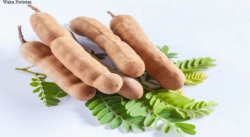 TAMARINDO, TU MEJOR ALIADO CONTRA LA CAÍDA DEL CABELLO