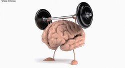 EL EJERCICIO CEREBRAL SIRVE PARA MANTENER LA MENTE EN FORMA