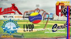 CARDENALES, CARIBES, NAVEGANTES Y TIGRES SE BLINDAN PARA LAS SEMIFINALES