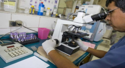 PERÚ: EN TUMBES SE GARANTIZARÁ LA ATENCIÓN GRATUITA A PACIENTES DE CUALQUIER NACIONALIDAD CON BROTE DE MALARIA