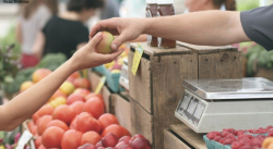Mercados municipales de Venezuela son afectados por medidas externas
