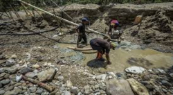MINERÍA ILEGAL ESTÁ ACABANDO CON EL “CAPITAL NATURAL” DEL SUR DE VENEZUELA, ALERTA ECOLOGISTA