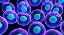 UNA NUEVA VACUNA AYUDA A ACABAR CON CÉLULAS CANCERÍGENAS EN UNA PACIENTE