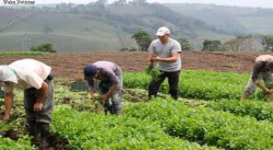 PLATAFORMA AGROALIMENTARIA NACIONAL CREARÁ CONDICIONES PARA PRODUCIR ALIMENTOS Y ENFRENTAR HAMBRUNA
