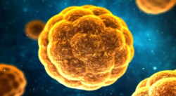 INVESTIGADORES CHINOS IDENTIFICAN POTENCIAL MEDICAMENTO CONTRA VIRUS DE HEPATITIS A