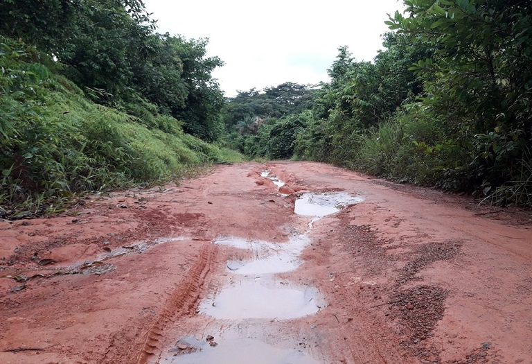 Carretera_vía_Gavilán_1.jpg