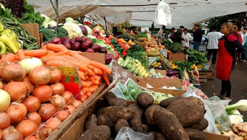 xxVerduras-y-hortalizasxx.jpg